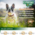 Emerald Pet Pumpkin Mini Trainers Dog Treats, 6 oz, Allergen-Friendly, Vegetarian, Low-Fat, Grain Free, Made in USA