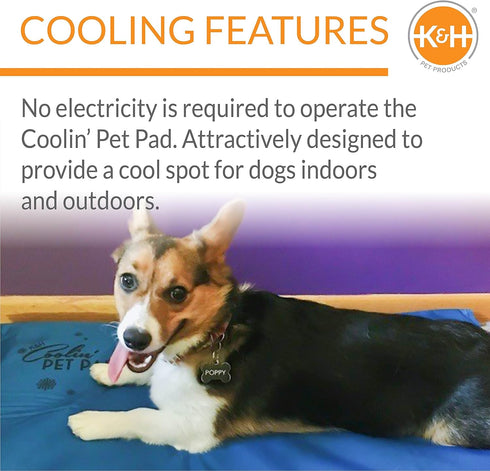 K&H Pet Products Summer Cooling Mat, Blue Medium 20" x 15" - Non-Toxic, Easy Carry, Outdoor Dog Cooling Pad for Cats &
