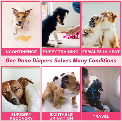 40pcs, Dono Disposable Dog Diapers Female Doggie Diapers for Puppy Dogs and Cats in Heat with Cute Design, Pink, XXS