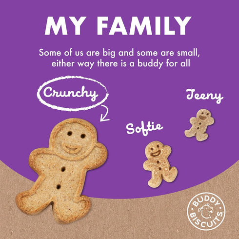 16 oz. Buddy Biscuits Box of Crunchy Dog Treats Made with Assorted Flavors of Roasted Chicken, Grilled Beef, and Sharp