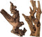 Tfwadmx Aquarium Natural Driftwood Decor - Wood Branches 8.5-12" for Fish Tank Decoration, Reptile Habitat Ornament (2