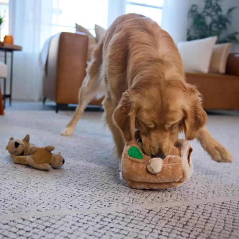 2in1 3 Outward Hound Hide-A-Squirrel Dog Toy Interactive Plush Puzzle with Squeaky Removable Squirrels, Large