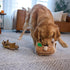 2in1 3 Outward Hound Hide-A-Squirrel Dog Toy Interactive Plush Puzzle with Squeaky Removable Squirrels, Large
