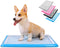 Pet Awesome Dog Potty Tray, Puppy Pee Pad Holder 25”x20” for Indoor Wee Training for Small and Medium Dogs