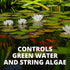 Tetra Pond AlgaeControl, 16.9 Ounces for Ornamental Outdoor Ponds and Fountains