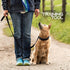 Ram-Pro Small Dog Training Collar - Triple Crown Pro Pinch Collar for Gentle Effective Control, No Barking