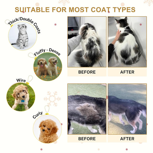 Grooming Dog Slicker Brush for Toy Poodle, Small Doodles & Maine Coon Cats - Best Dog Brush for Cockapoo Cavapoo