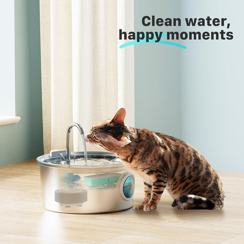 12 3 Set 6 6 FOFNON Cat Water Fountain Filters: Cat Fountain Replacement Filter for FOFNON Pet Water Fountain - Months