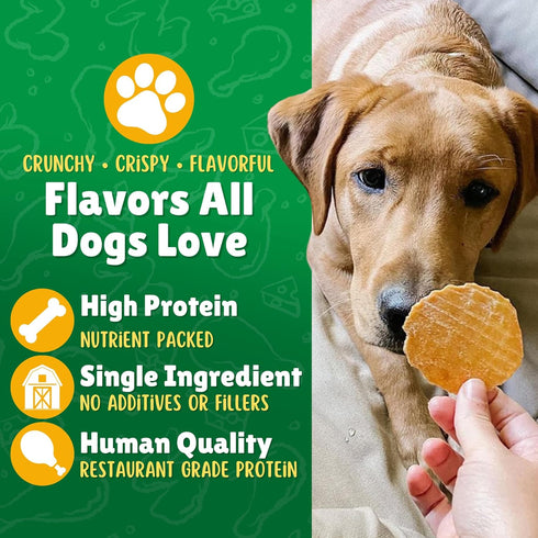 Lucky Premium Treats Chicken Lucky Chips for Dogs – Healthy Single Ingredient Dehydrated Chicken Jerky Treats Made in