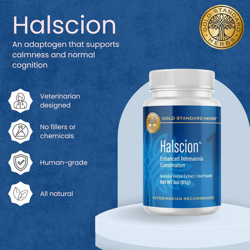 Gold Standard Herbs 85 Halscion Cognitive Support and Stress Relief for Dogs by , All Natural Rehmannia Combination