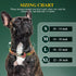 Gold Chain Dog Collars with Personalized Diamond - Cuban Link 19MM Heavy Duty Chew Proof, AirTag Holder (XL: 22"-26")