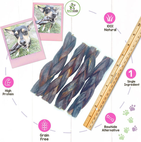 Nature Gnaws Braided Beef Jerky Chews for Dogs - Premium Natural Beef Gullet Sticks - Tasty Single Ingredient Treats -
