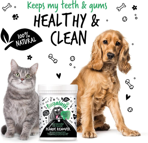 BUGALUGS 70g 100% (70g) Plaque Off Remover For Dog Teeth Bad Breath Natural | Plaque Off Dogs No Need For Dog