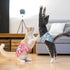3 Pack Reusable Cat Diapers with Good Absorbency Kitten Diapers Small for Female & Male Cats - Easy to Put On, Secure