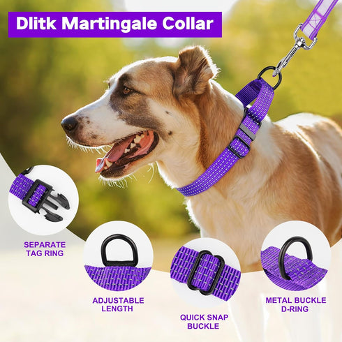 Adjustable Martingale Dog Collars, Reflective Nylon No Pull Choker Collar for Medium Large Dogs (L, Purple)