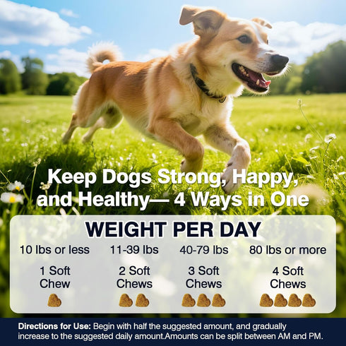 Hip and Joint Supplement for Dogs Dog Probiotics Glucosamine Chondroitin MSM Chew for Dog Arthritis Pain Relief Extend