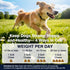 Hip and Joint Supplement for Dogs Dog Probiotics Glucosamine Chondroitin MSM Chew for Dog Arthritis Pain Relief Extend
