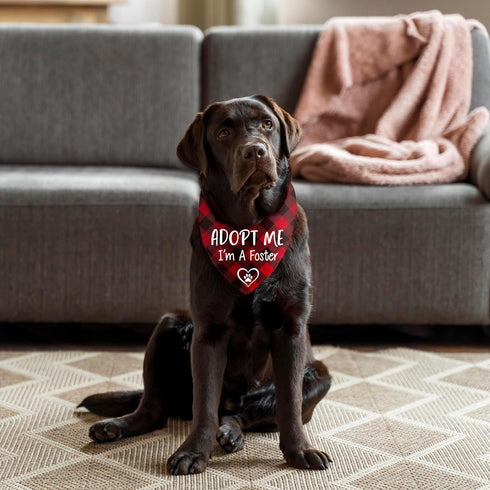 Joyriza I'm a Foster Dog Bandana, New Puppy Announcement Gifts, Rescue Adopted Puppy Reveal Party Photo Prop, Red Plaid