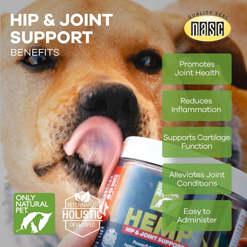 Inflammatory 60 Count Only Natural Pet Hemp Hip & Joint Support for Dogs - Supplement for Mobility Wellness Pain Relief