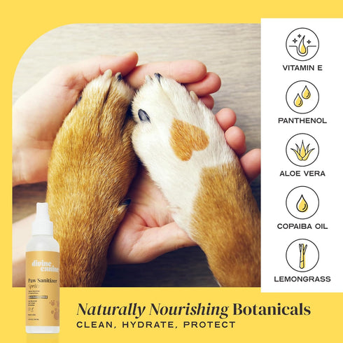 Paw Sanitizer Spritz - Dog Paw Cleaner, Nourishing & Soothing Cleaning for Paw Pads, 5.1 oz
