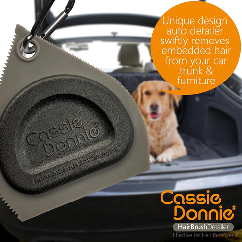 Mini Pet Hair Detailer, Reusable Brush for Carpet, Couch, Bedding, Sofa, Car Interior Auto Detailing Supplies for