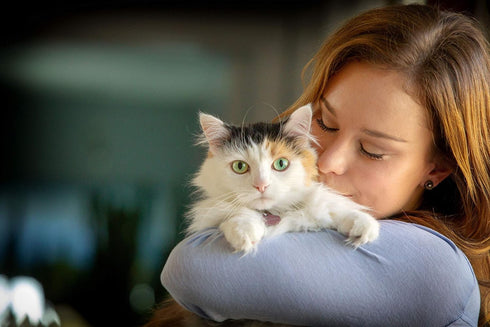 Spry Cat Eye Care Support, L-Lysine Cat Treat Supplement, Immune Support, Daily Treat for Cat Health