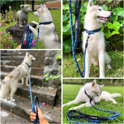 Sentry Heavy Duty Rope Dog Leash - 6 Foot Reflective Leash with Lockable Metal Carabiner for Medium & Large Dogs