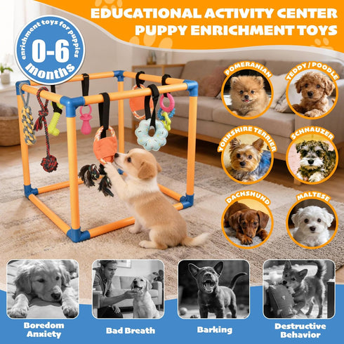 Wovelli 10 19.5" Puppy Play Gym with Hanging Toys, PVC Removable Dog Enrichment Playground, Interactive Indoor Training