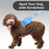 Bearbark Dog Scratcher: Extendable Long Reach Scratching & Grooming Tool for Dogs|Cats|Pigs|Horses. Fun,Itch Relief,Grooming,Shedding Control. Unique Gift for Pet Lovers. American Owned Small Business