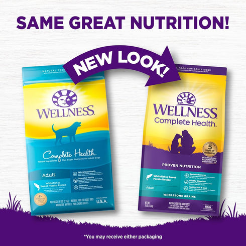 Wellness Complete Health Dry Dog Food - Natural Ingredients for Adult Dogs - Whitefish & Sweet Potato, 5-Pound Bag
