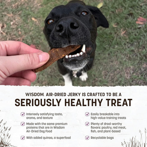 Earth Animal Wisdom Air-Dried Turkey Recipe Jerky Strips Dog Treats, 4 oz. Bag