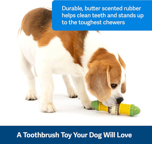PetSafe Busy Buddy Cravin’ Corncob Dog Toy, BPA Free Rubber Treat Ring Chew Toy for Small to Large Dogs