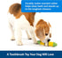 PetSafe Busy Buddy Cravin’ Corncob Dog Toy, BPA Free Rubber Treat Ring Chew Toy for Small to Large Dogs