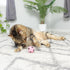 SPOT Sponge Soccer Ball Cat Toys - Interactive Plush Toy, Fun for Cats & Kittens to Bat & Chase, 1.5" Assorted 4-Pack