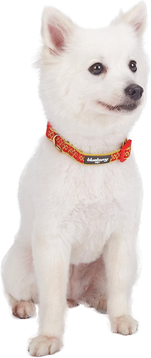 Blueberry Pet Adjustable Dog Collar, Gold Metallic Thread Zigzag, True Red, Small, Neck 12"-16"
