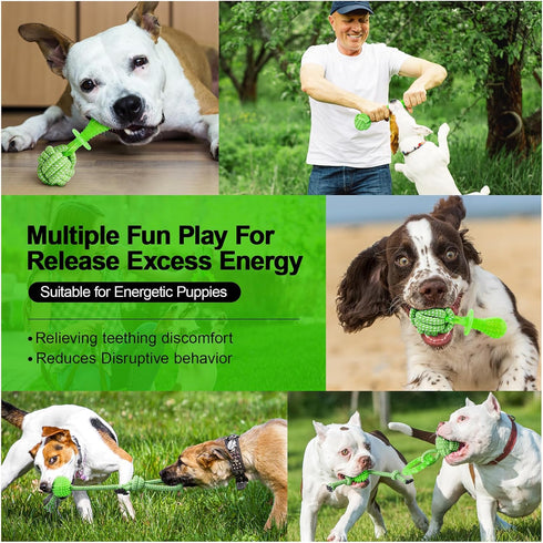 Puppy Toys 5 Pack for Energetic Puppies, Durable Chew Toys with High Density Rubber and Rope
