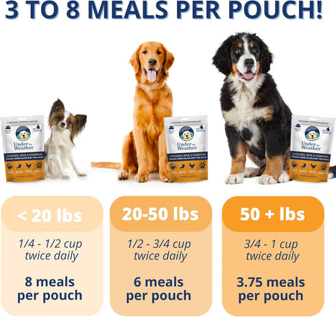 Under the Weather Bland Diet for Dogs - 6oz Pack, Easy to Digest Rice, Chicken & Pumpkin, All Natural