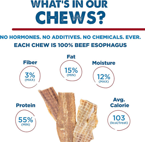12 Inch 12 Count (Pack 1) Best Bully Sticks Beef Jerky for Dogs - of - All-Natural, High-Protein Gullet, Rawhide Free
