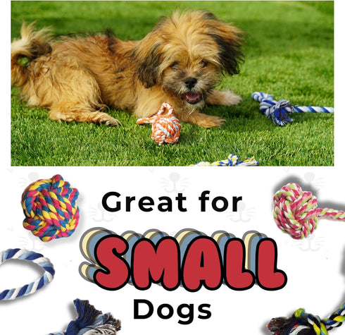Small Puppy Dog Rope Toys for Play, Chew, Teething, and Boredom - for Smaller Dogs (6-Pack)