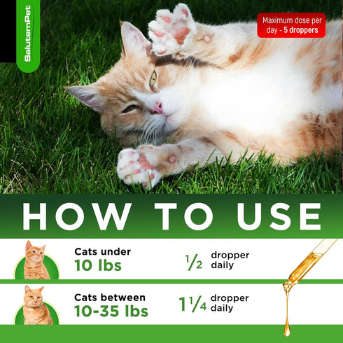 Natural Antibiotics for Cats - Supports Allergy Relief, Itch Relief, and Multivitamin for Cats, 2 Oz