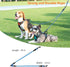 Taglory Double Dog Leash - Reflective Rope, No Tangle Design for Two Dogs, Puppy Small Medium Breeds, Blue