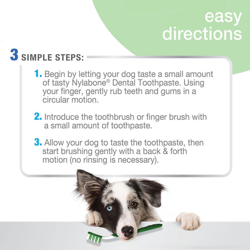 Nylabone Advanced Oral Care Natural Dog Dental Kit, Peanut Flavor, 2.5 oz.
