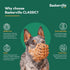 BASKERVILLE CLASSIC BASKET MUZZLE, Breathable Dog Training Muzzle for Medium Dogs, Prevents Biting and Food Waste