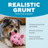 Outward Hound Fattiez Pig Plush Squeaky Toy for Small Dogs