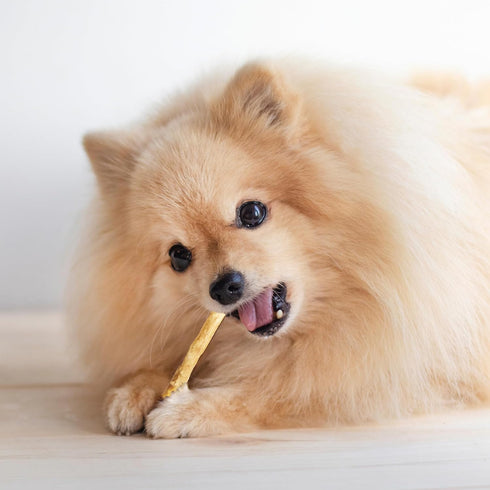 Fieldcrest Farms Nothing to Hide Natural Rawhide Alternative Small Twist Stix for Dogs - 10 Sticks, All Natural Chews