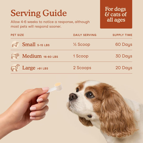 Fera Pets Probiotics for Dogs & Cats, USDA Organic Gut Health Powder Supplement with 12 Strains, 60 Scoops