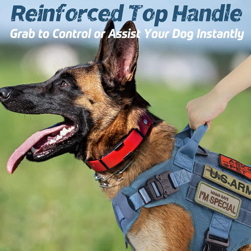rabbitgoo Tactical Dog Harness for Large Dogs, Heavy Duty No-Pull Vest with Handle for Training and Walking, Blue, S