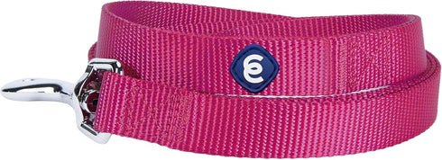 Blueberry Pet Essentials Very Berry Dog Leash for Large Dogs, 4' * 1" Heavy Duty Nylon Lead