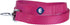 Blueberry Pet Essentials Very Berry Dog Leash for Large Dogs, 4' * 1" Heavy Duty Nylon Lead