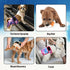 Female Dogs Diapers Belly Bands, Washable Reusable Female Doggy Wraps Panties for Doggie Puppy Pooping Potty Training